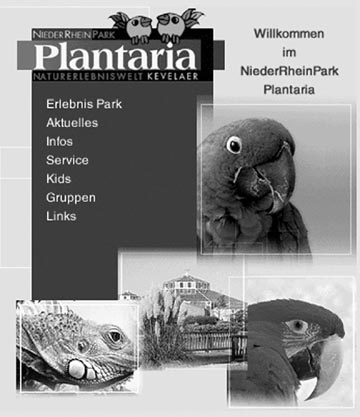 Plantaria-Auftritt im Internet